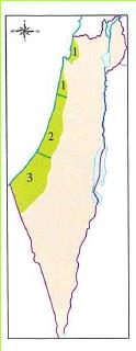 רצועת מישור החוף